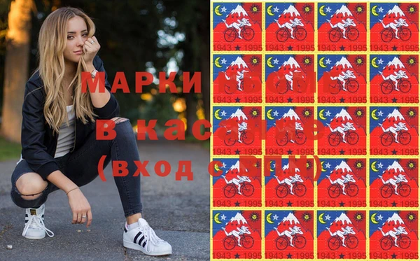 прущий лед Пересвет