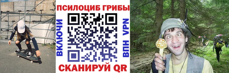 hydra онион  Баймак  Галлюциногенные грибы Psilocybe 
