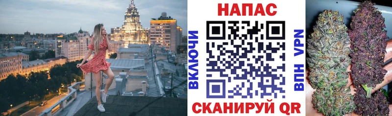 Каннабис сатива  Баймак 